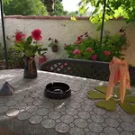 Yellow Fairy Tale Visoko