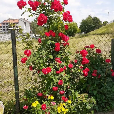 Yellow Fairy Tale Nyaraló *