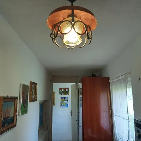 Yellow Fairy Tale Visoko