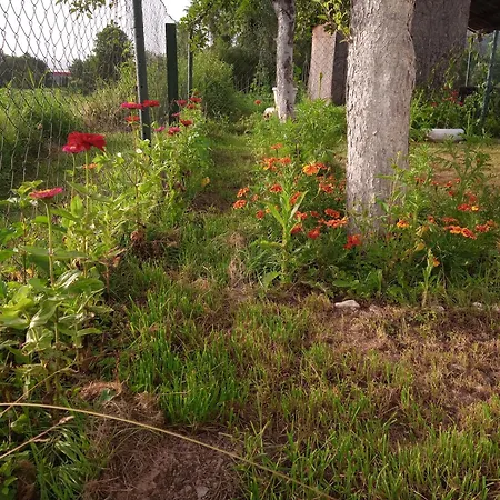 Nyaraló Yellow Fairy Tale Visoko