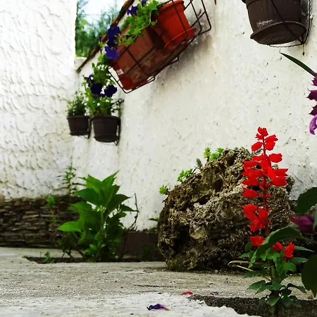 Yellow Fairy Tale Visoko