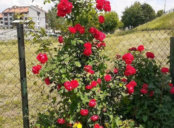 Yellow Fairy Tale Vikendica *