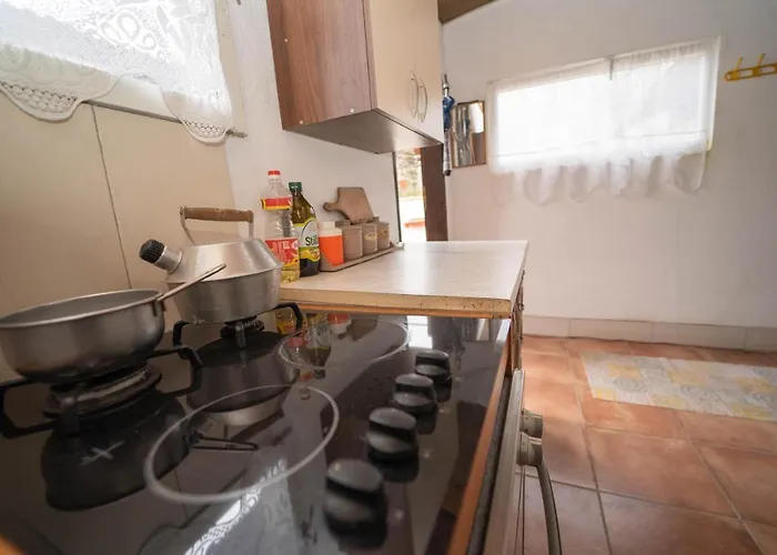 Yellow Fairy Tale Visoko