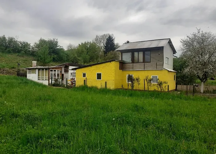 Yellow Fairy Tale Visoko