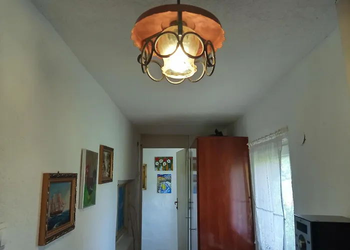 Yellow Fairy Tale Visoko