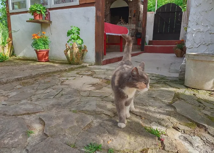 Yellow Fairy Tale Vikendica