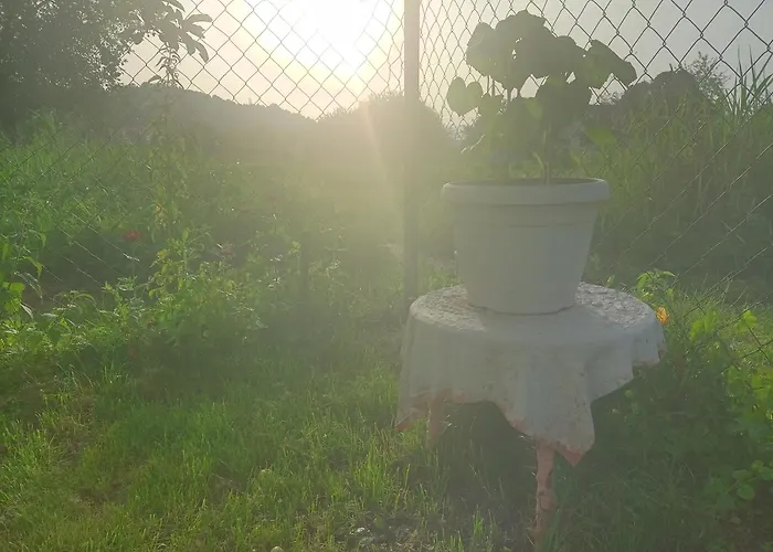 Yellow Fairy Tale Vikendica