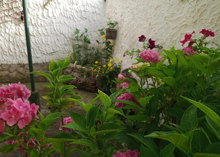 Vikendica Yellow Fairy Tale