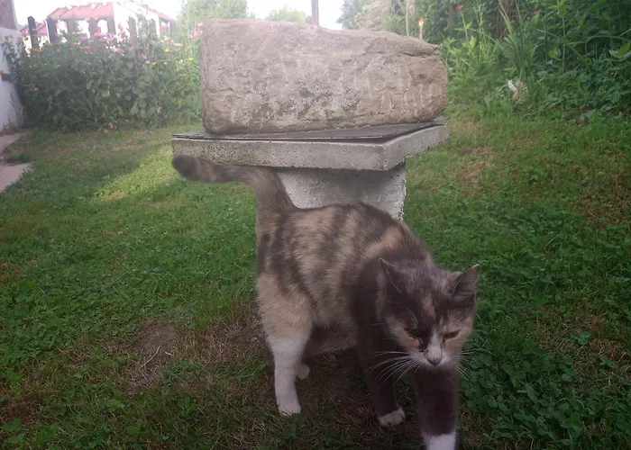 Yellow Fairy Tale Vikendica