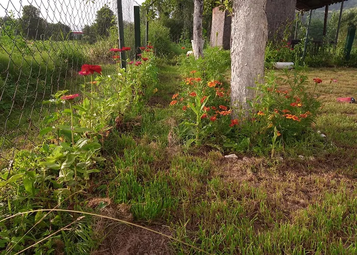 Vikendica Yellow Fairy Tale Visoko