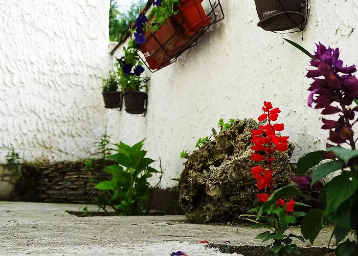 Yellow Fairy Tale Visoko